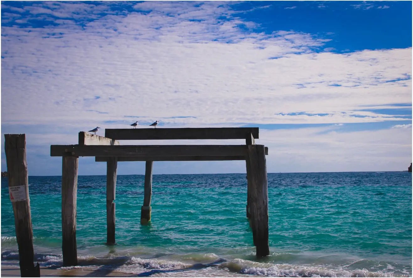 Hamelin Bay old jetty ruins with seagulls, turquoise Indian Ocean — Margaret River Region